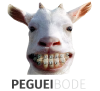 peguei bode