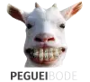 peguei bode